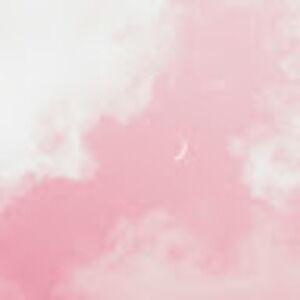 Meet your Posher, Jannis